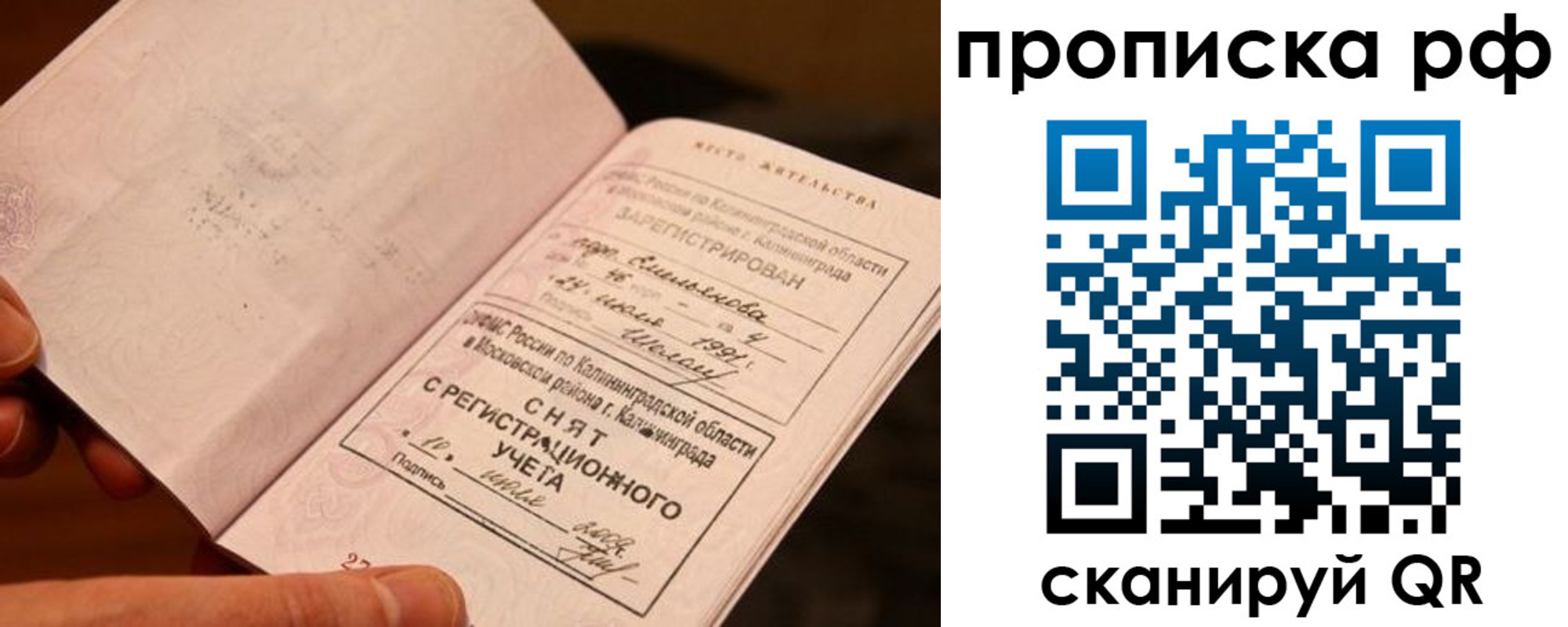 прописка гарантия в Бикине